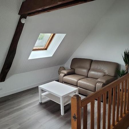 Appartement Avec Vue Sur Loire Блуа Екстер'єр фото