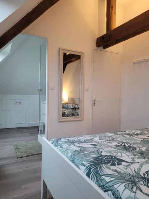 Appartement Avec Vue Sur Loire Блуа Екстер'єр фото